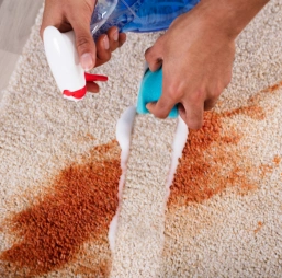 Before Cleaning